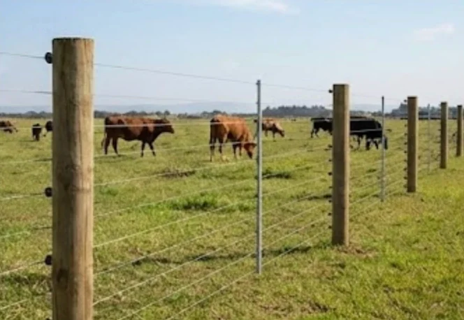 Agricultural electric fencing for farms