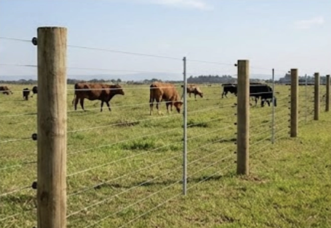 Agricultural electric fencing for farms